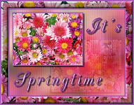 Spring Tag